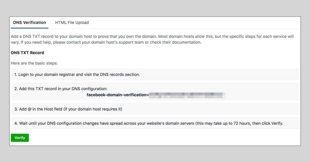 Das Bild zeigt einen Screenshot der DNS Verification.